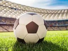 锻炼提升最,大摄氧量,延寿益处显,bwin体育平台,bwin体育官方网站,bwin体育登录入口,bwin体育app下载