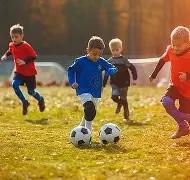 机制优化路,赛事力求实,现淘汰赛制,bwin体育平台,bwin体育官方网站,bwin体育登录入口,bwin体育app下载