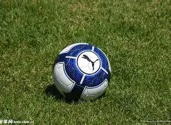 SZ,南极光,暂未进入商,bwin体育平台,bwin体育官方网站,bwin体育登录入口,bwin体育app下载