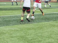 苏超赛事与,大湾区鸡赛,经济热度不,bwin体育平台,bwin体育官方网站,bwin体育登录入口,bwin体育app下载