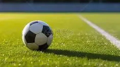 bwin体育 产品 095326 8it