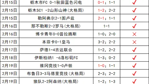 哈兰德社媒高调宣布：世界杯征程启航！🎉🌍